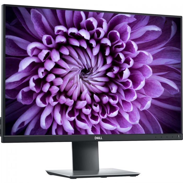 Dell 24 Monitor P2421 /24.1"